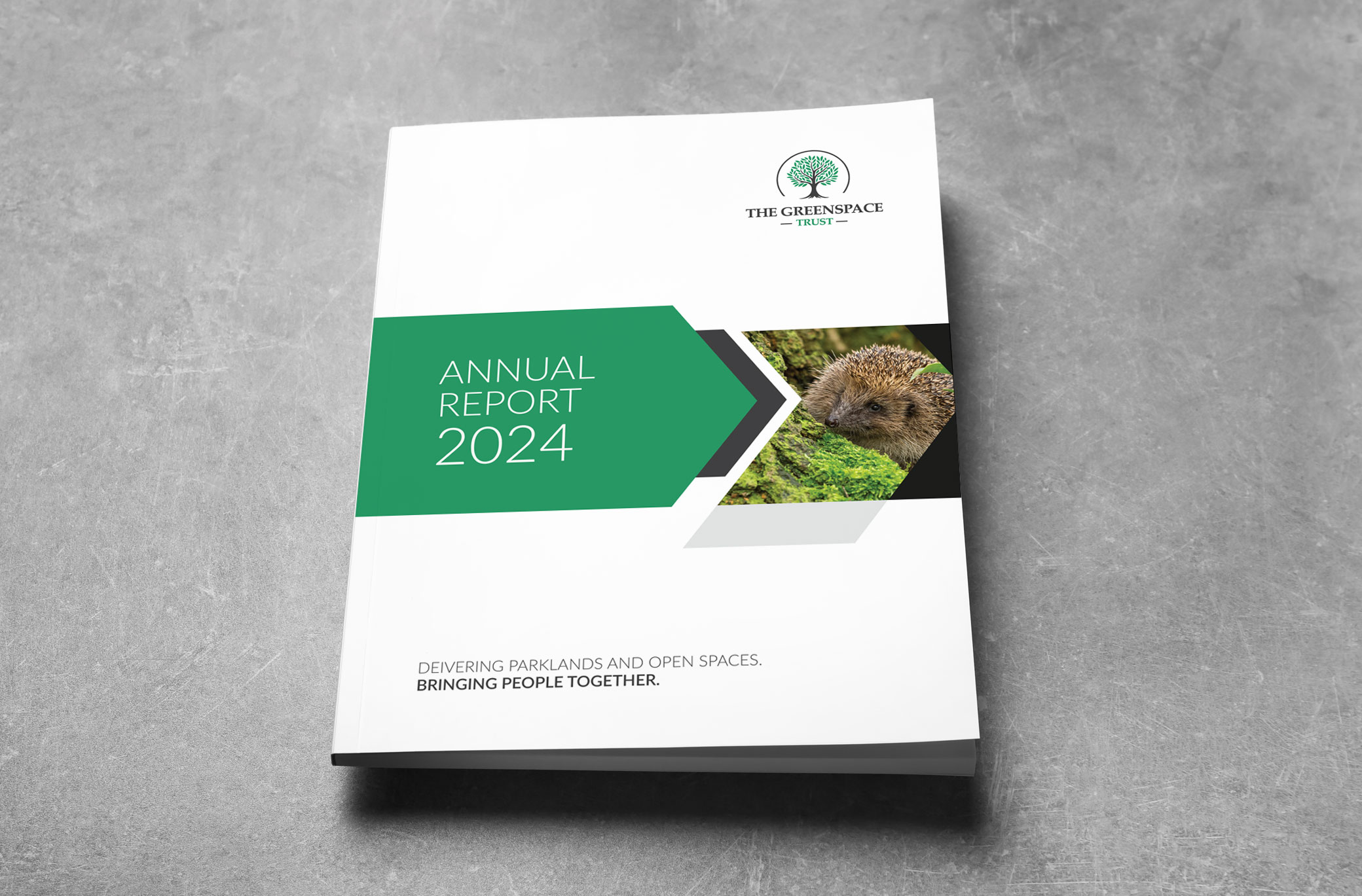 2024 Annual Report