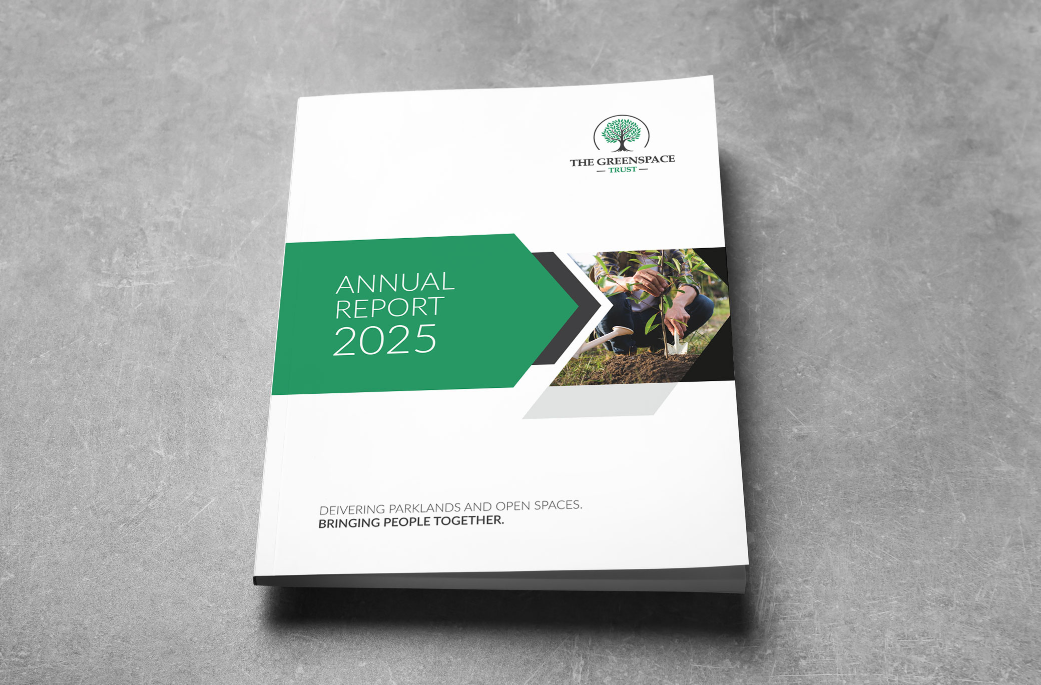 2025 Annual Report