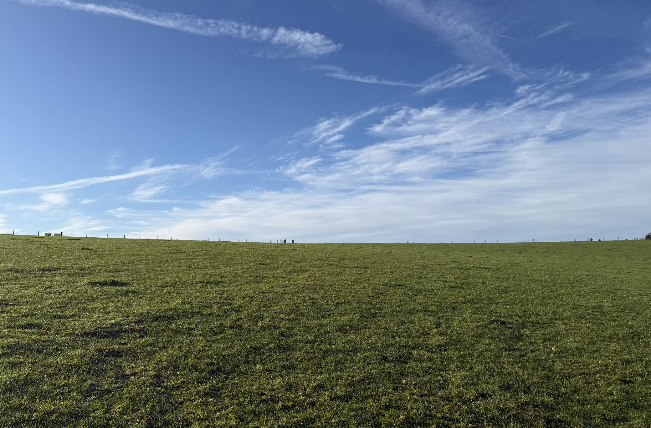 Buckinghamshire Meadows