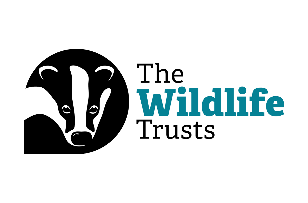 The Wildlife Trust